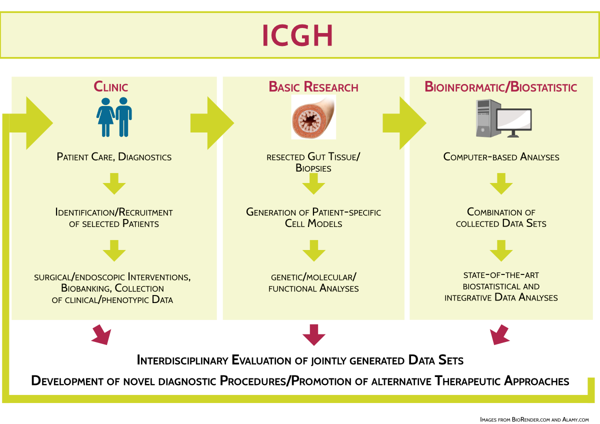Research approach and expertise of the Interdisciplinary Center for Gut Health (ICGH)