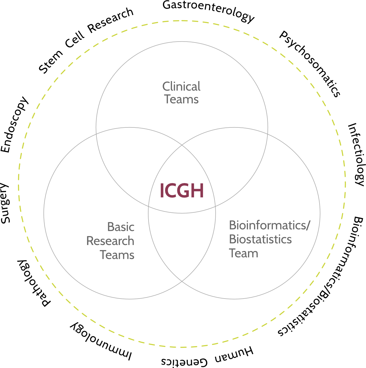 The Interdisciplinary Center for Gut Health (ICGH) brings together experts from multiple disciplines to advance complementary research in the field of gut health.
